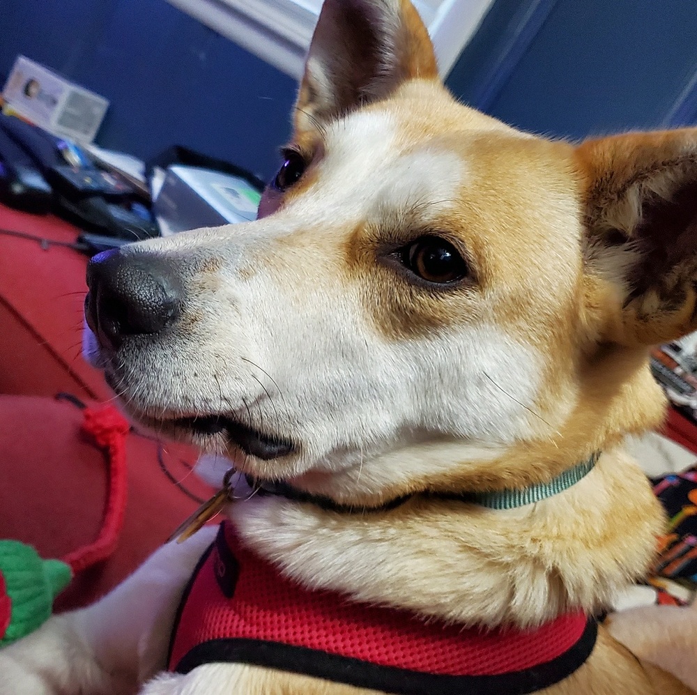 Meet your Posher, Kristen